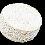 chèvre